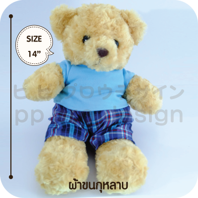 Teddy Bear