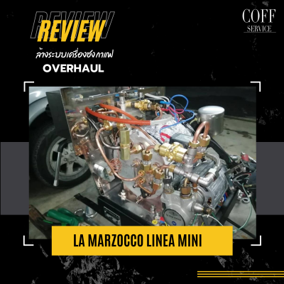 Overhaul-La marzocco Linea Mini