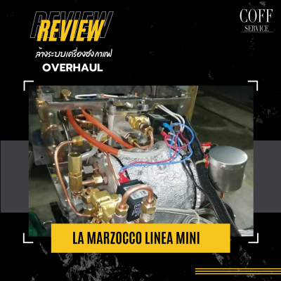 Overhaul-La marzocco Linea Mini