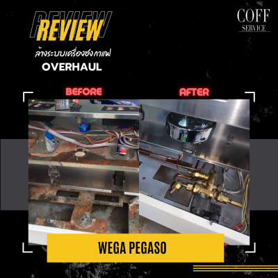 Overhaul-Wega Pegaso