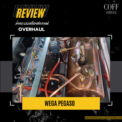 Overhaul-Wega Pegaso