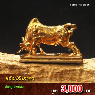 ปรับราคา