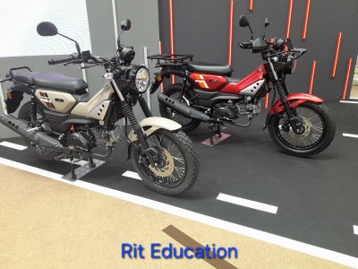 Big Motor Sale 2025 (2)