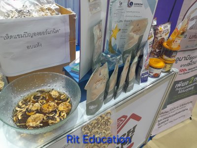 FHT Thailand 2025