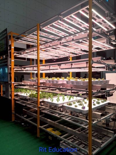 Farm Expo 2025 (1)