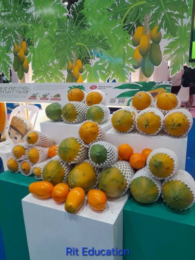 Farm Expo 2025 (2)