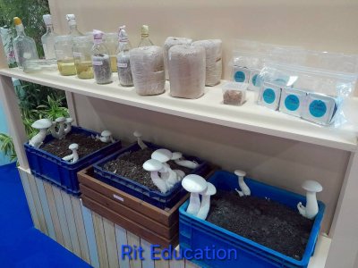 Farm Expo 2025 (2)