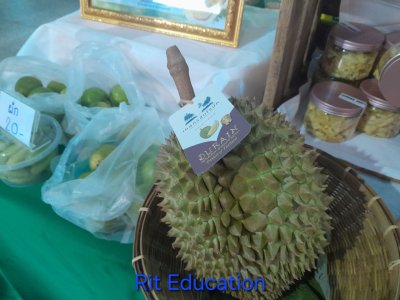 อุตสาหกรรมแฟร์ 2568