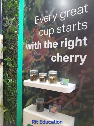 Coffee FEST 2026 (2)