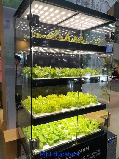 Toyota Farm Expo Asia 2026