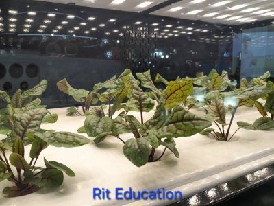 Toyota Farm Expo Asia 2026