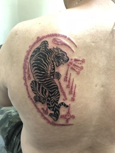 Tigers