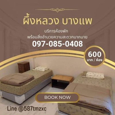 รวมภาพผึ้งหลวงรีสอร์ท