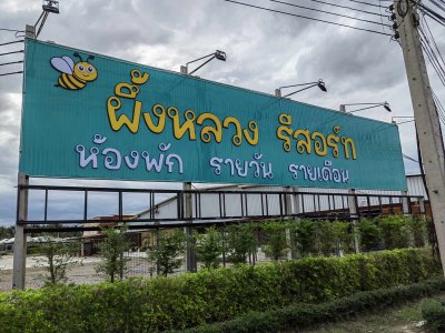 รวมภาพผึ้งหลวงรีสอร์ท