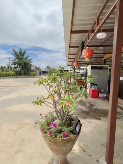 รวมภาพผึ้งหลวงรีสอร์ท