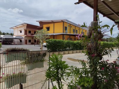 รวมภาพผึ้งหลวงรีสอร์ท