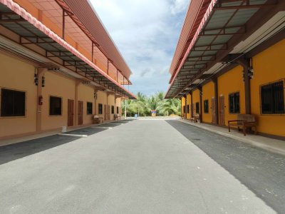 รวมภาพผึ้งหลวงรีสอร์ท