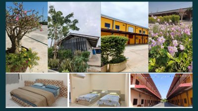 รวมภาพผึ้งหลวงรีสอร์ท