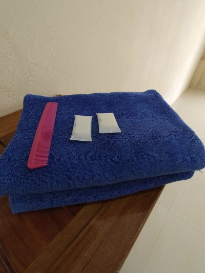 รวมภาพผึ้งหลวงรีสอร์ท