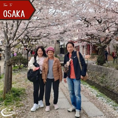 รีวิวทัวร์ญี่ปุ่น OSAKA PINK SAKURA ชิราคาวาโกะ ชมซากุระ 5 วัน 3 คืน