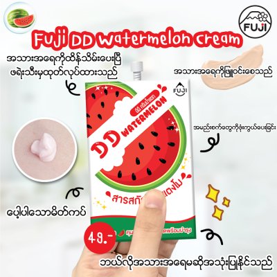 FUJI Myanmar Translation Products