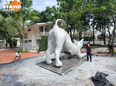 ฐานรองรูปปั้นแมว หอศิลป์ตรงข้ามโรงเรียนเมืองนครราชสีมา จำนวน 20 ตรม