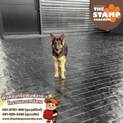 งานคอนกรีตพิมพ์ลาย Akane Collagen