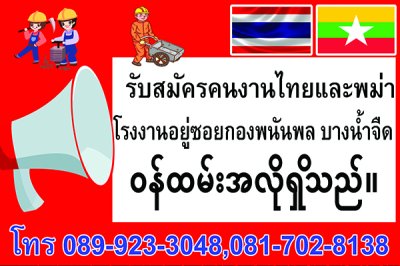 อัลบัลไวนิล