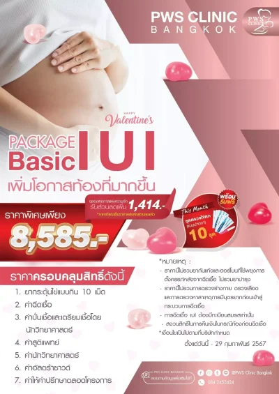 IUI Package Basic