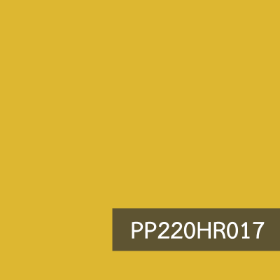 PP220HR017