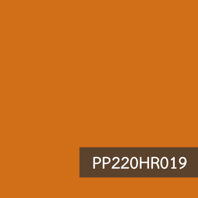 PP220HR019