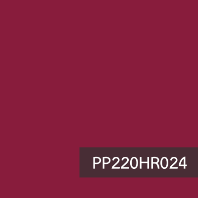 PP220HR024