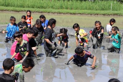 ทัศนศึกษาชั้นประถมศึกษาปีที่ 3 ณ นาเฮียใช้ จ.สุพรรณบุรี