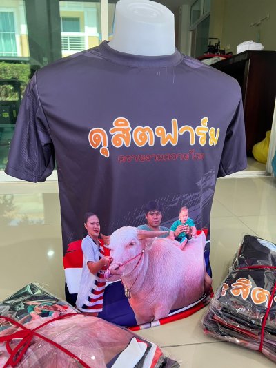 เสื้อพิมพ์ลาย