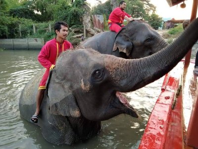 ล่องเรือท่องเที่ยว/ทริปแนะนำ