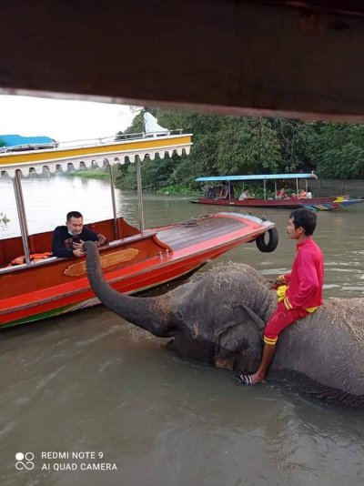 ล่องเรือท่องเที่ยว/ทริปแนะนำ