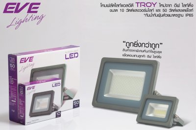 LED Floodlight