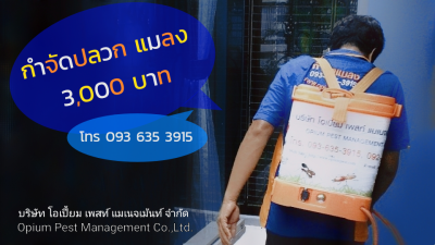 พนักงานของเรา Our Staff