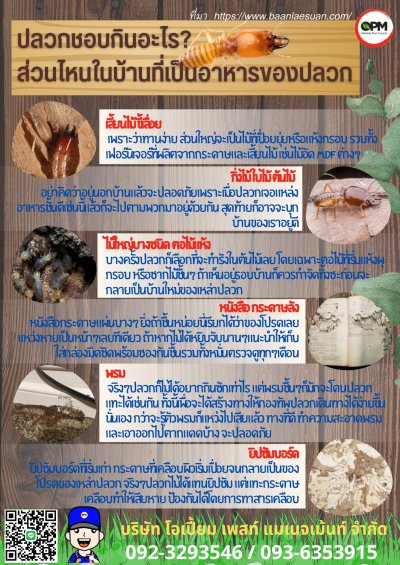 รวมโปสเตอร์ความรู้เกี่ยวกับแมลง