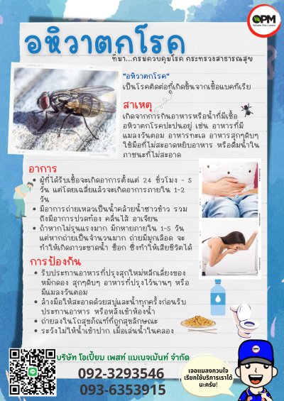 รวมโปสเตอร์ความรู้เกี่ยวกับแมลง