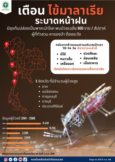 รวมโปสเตอร์ความรู้เกี่ยวกับแมลง