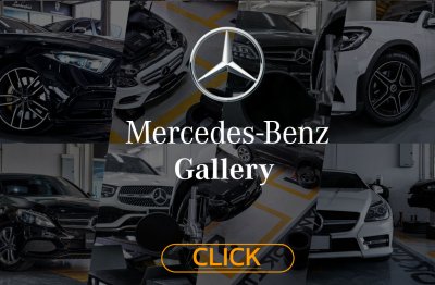 Mercedes-Benz (1)