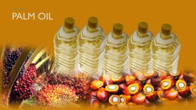 PALM OIL