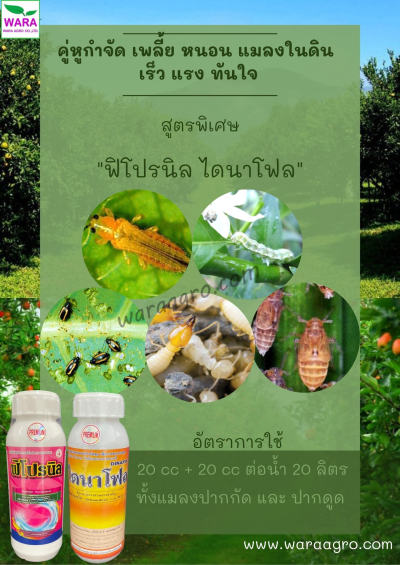 wara agro 