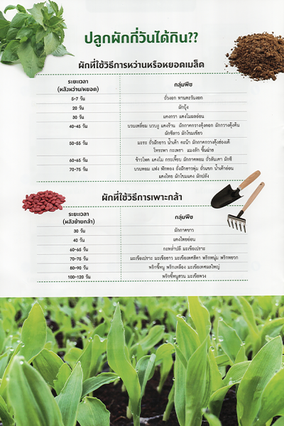 wara agro 