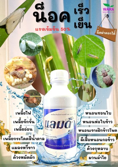 บริษัท โรกีต้า จำกัด ( ROKITA  ตราแมงป่อง )