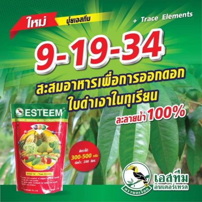 เอสทีม อินเตอร์เทรด ( ตรานกเหงือก )