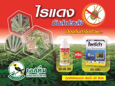 เอสทีม อินเตอร์เทรด ( ตรานกเหงือก )