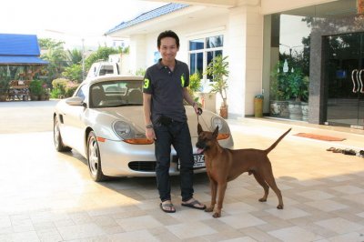 คัดสรรสุนัขพันธุ์ไทยหลังอานไปแข่งขันในรายการ EURO DOG SHOW 2012