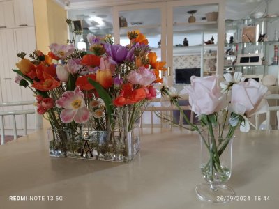 รีวิวและคำรับรองจากลูกค้า (3)